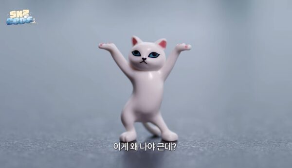 貓貓Figure (Changbin)
